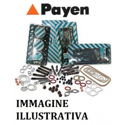 B81 - DN582 PAYEN - KIT GUARNIZIONI SMERIGLIO CITROEN BX VISA PEUGEOT 205 1.4