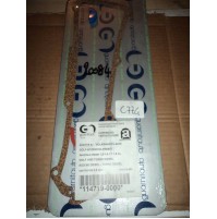 C774 - GUARNITAUTO 114719-0000 - GUARNIZIONE COPERCHIO PUNTERIE AUDI 100 80 VW