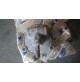 D169 XX - AUD9258 COPERCHIO SUPERIORE CARBURATORE TRIUMPH TR4 A TR4A SU-HS6