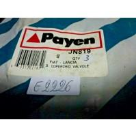 E2226 - PAYEN JN819 GUARNIZIONE COPERCHIO PUNTERIE FIAT TIPO TEMPRA