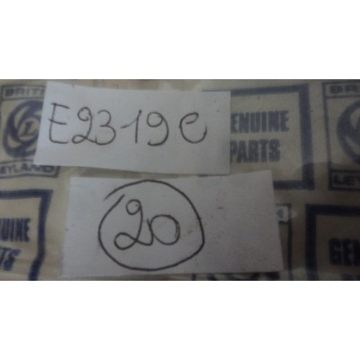 E2315C XX - 13H2494 Controdado Plastica ROVER 800  TRIUMPH TR7 MG MGB MINI METRO-1