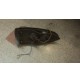 F1496 XX - FARO FANALE POSTERIORE COMPLETO INNOCENTI IM3 J3