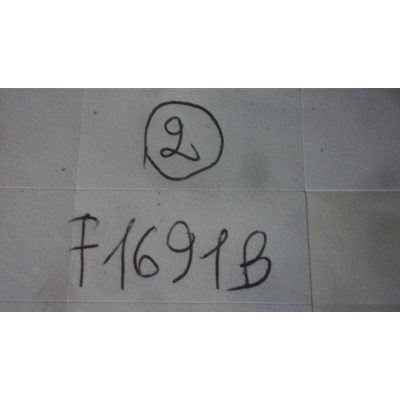 F1691B XX - 31244307 2A240 Guarnizione ORIGINALE INNOCENTI-1