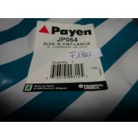 F180 - PAYEN JP064 GUARNIZIONE COPRITESTATA VALVE COVER GASKET PAYEN FIAT MAREA