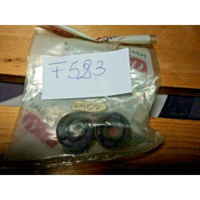 F523 - COPPIA GUARNIZIONI GOMMINI 4315/2