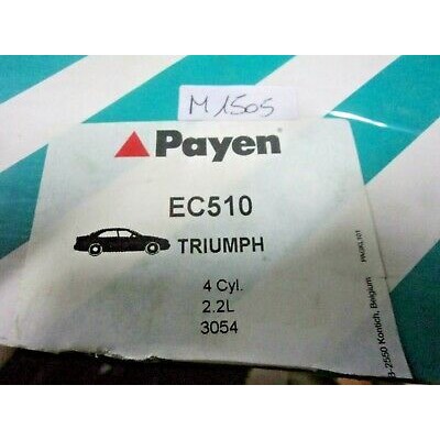 M1505 XX - KIT GUARNIZIONI MOTORE PAYEN EC510 TRIUMPH 2200 MORGAN PLUS GEG248-0