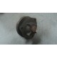 M259Q XX - WPA100 POMPA ACQUA WATER PUMP Triumph TR6 