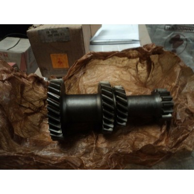 M388 XX - INGRANAGGIO INNOCENTI DAM3169 CAMBIO QUADRUPLO  22G927 per 18mm