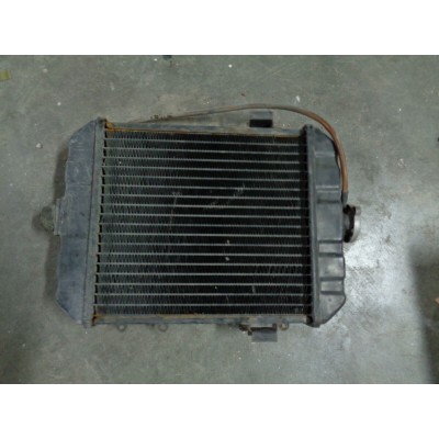 M4725 XX - RADIATORE RAFFREDDAMENTO AUSTIN HEALEY-0