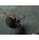 M5595 XX - TAMBURO FRENO INNOCENTI AUSTIN A40 A40S