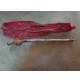M5993 XX - ASTA LEVA MARCE CAMBIO INNOCENTI 31522316