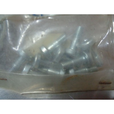 M6453 XX - KIT VITI 53431315 ORIGINALI PER INNOENTI MINI BERTONE