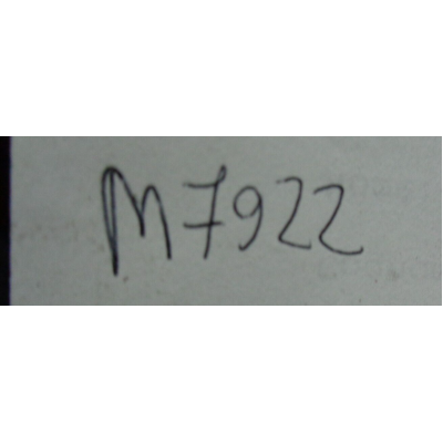 M7922 XX - MODANATURA 120442 ORIGINALE BRITISH LEYLAND-1