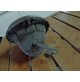 M8593 XX - FANALE ANTERIORE INNOCENTI MINI MINOR COOPER CLASSIC SIEM